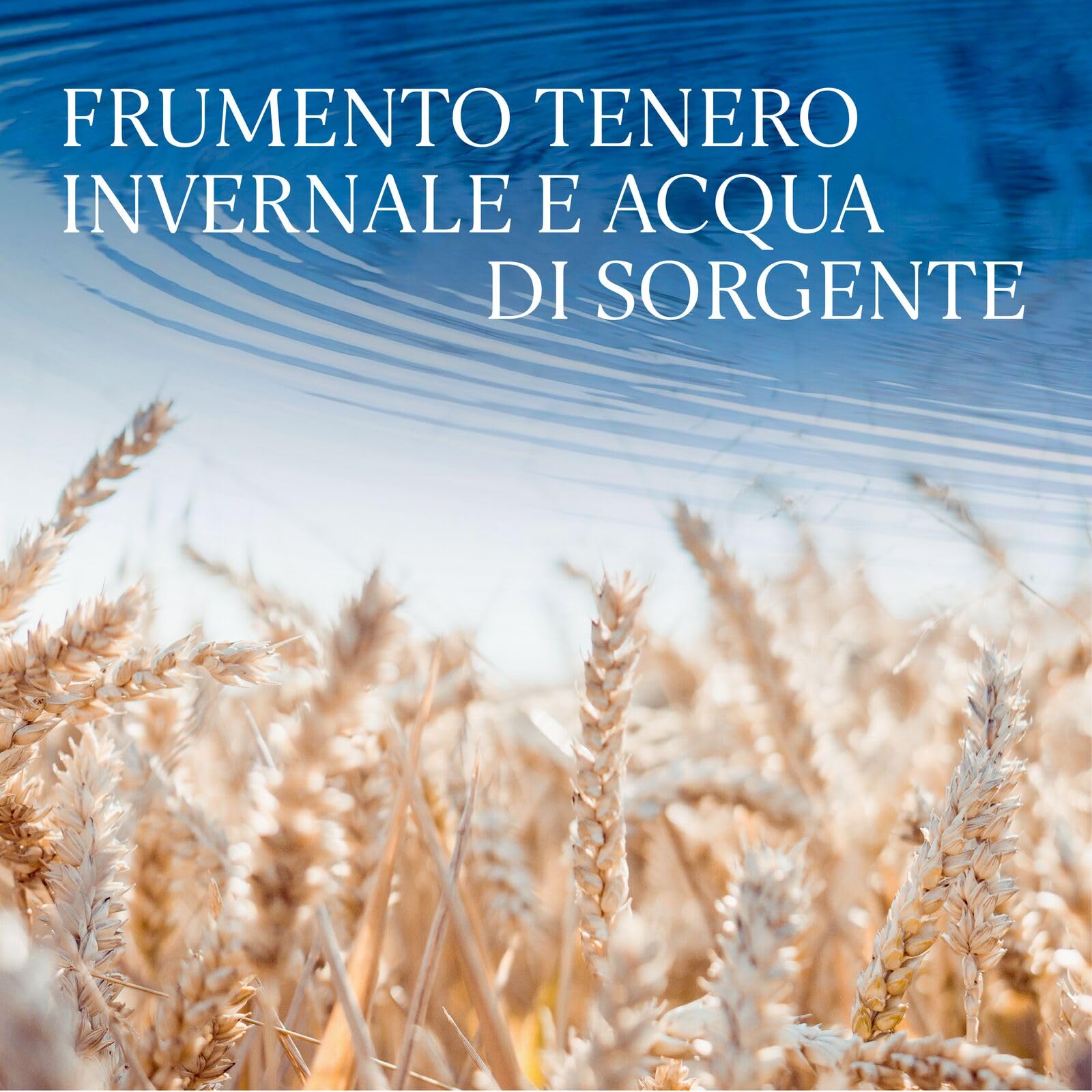GREY GOOSE Premium French Vodka, Vol. 40%, 150 cl / 1,5 l, pregiata vodka francese creata dal migliore grano monorigine francese e acqua sorgiva
