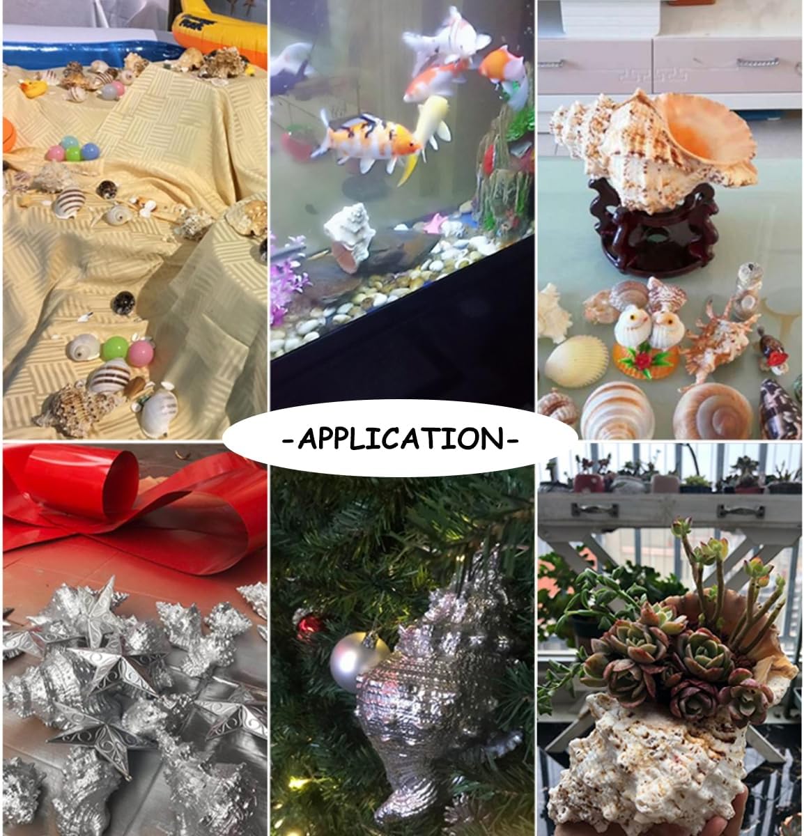 Natural Sea Beach Seashells,Huge Ocean Conch, Large Natural Sea Shells, Huge Ocean Conch 15-25 Cm Seashells Perfect for Wedding Beach Theme Party, Home Decorations(23cm)