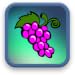 Fruit match pour les enfants gratuit