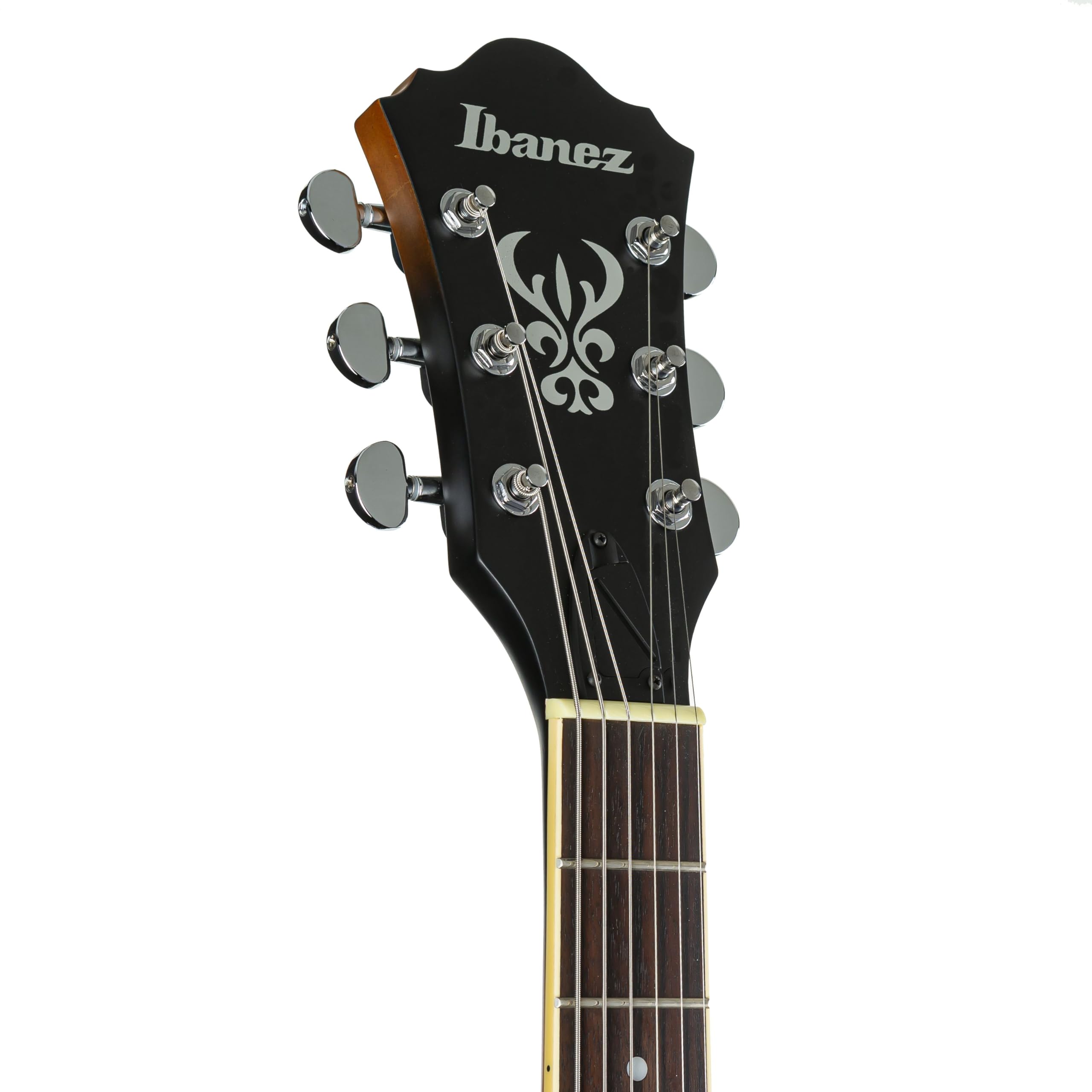 Ibanez AS53-TF Guitars