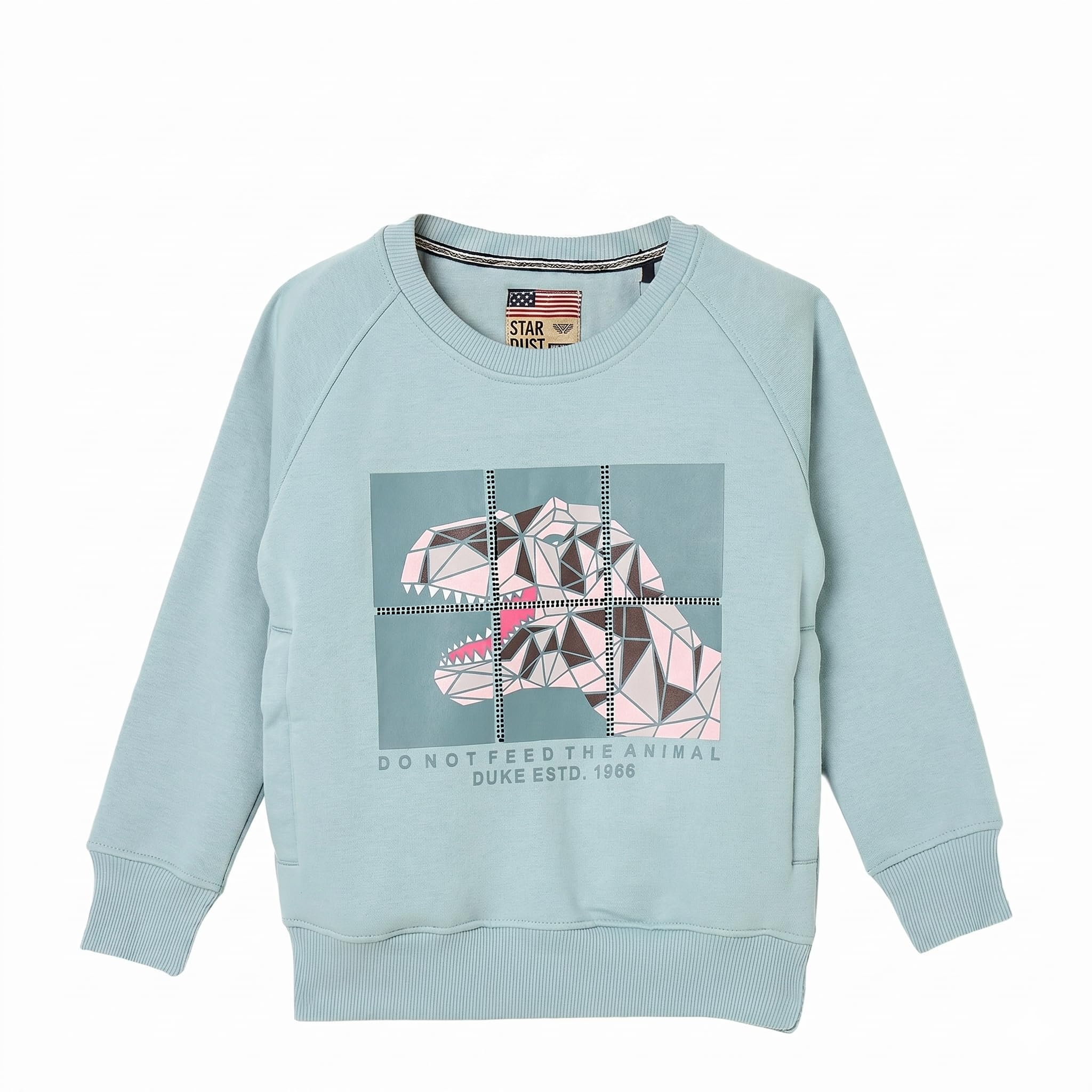 Boys Hooded Sweatshirt-image-12