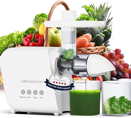 Pro 2025 Updated Slow Masticating Juicer, 95% Juice Yield, 2-Speed & 9-Segment Spiral Cold Press, for Vegetables Fruits Nuts, Enhanced Nutrition Better Taste