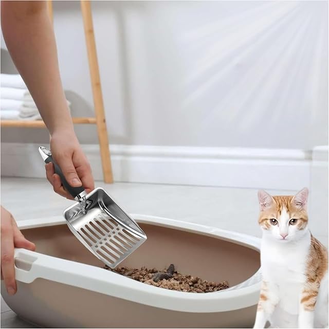 Foto 4 de 8 de Zwenjuan Pala de Arena para Gatos de Acero Inoxidable,Pala de Arena Mediana de Metal,Cuchara de Arena Arenero…
