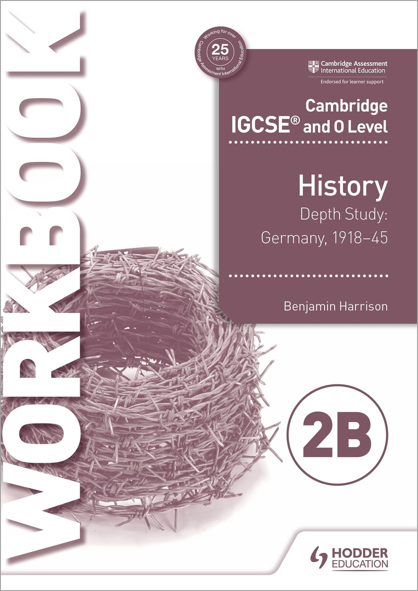 Cambridge IGCSE and O Level History Workbook 2B - Depth study: G