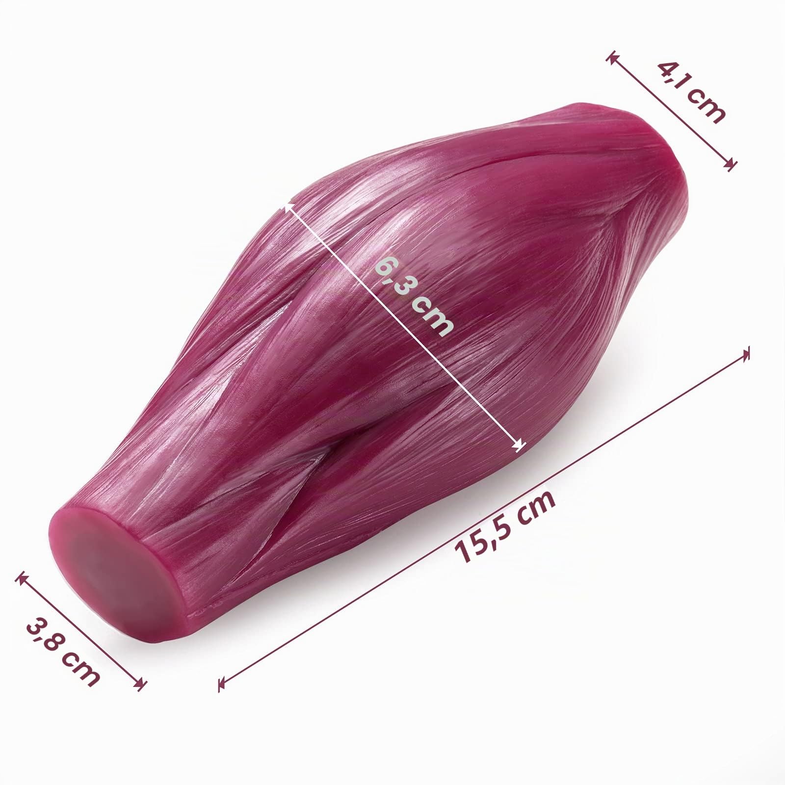 Modèle de réplique de muscle du corps humain - 1 lb pour garder la forme et l'encouragement de la forme physique pour les amateurs de fitness, nutritionnistes, athlètes