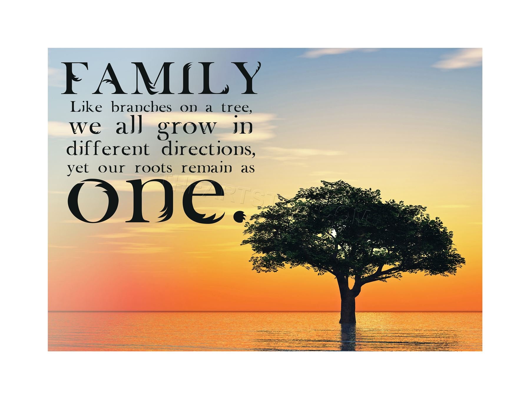 Wee Blue Coo Quote Family Roots Branches Sunset Wall Art Print