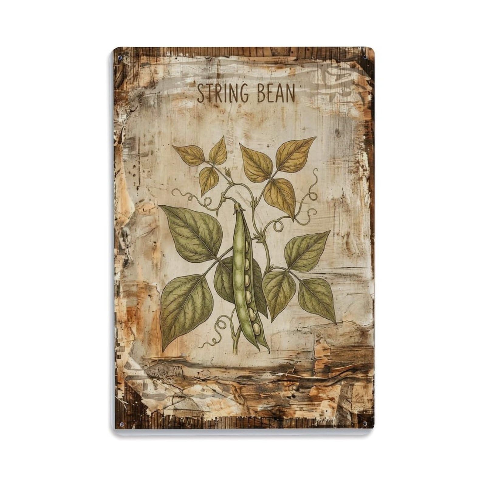 String Bean Vegetable Vintage Metal Tin Sign Plaque Wall Decor for Cafe, Club, Garden Metal Poster 8x12Inch