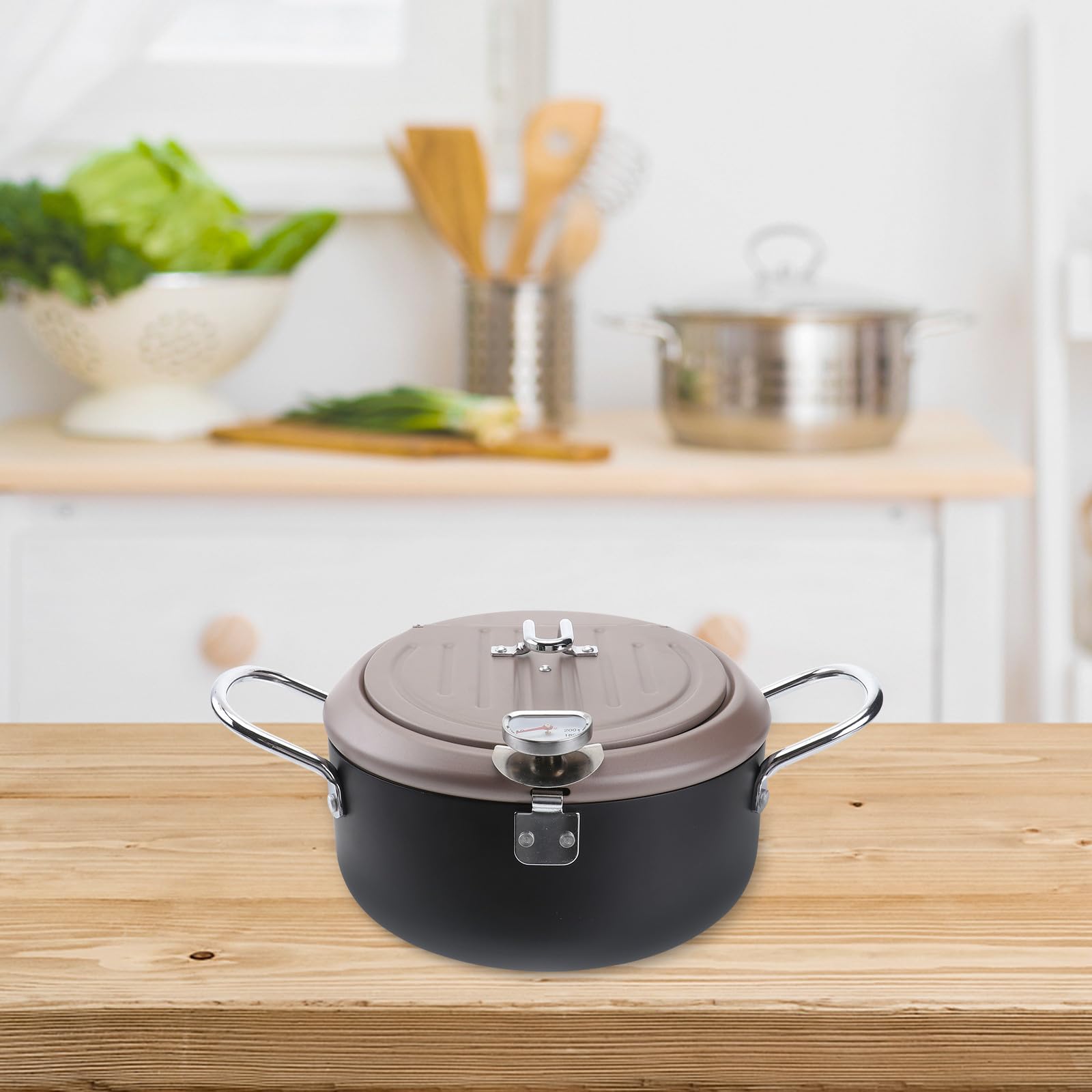 POPETPOP Freidora Japonesa Termómetro y Filtro de Aceite Sartén Profunda Anti-Salpicaduras con Tapa y Rejilla para Escurrir Utensilio para Freír Cocina de Gas y Eléctrica