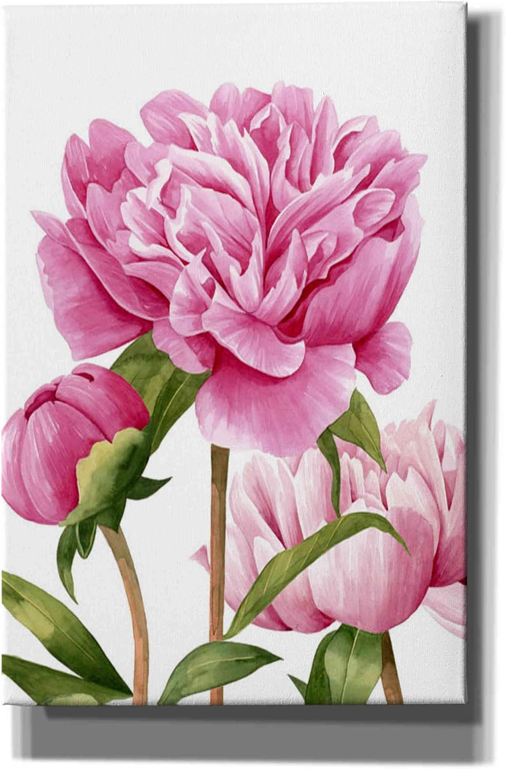 Epic Graffiti 'Winsome Peonies II' by Grace Popp Canvas Wall Art, 12"x16"