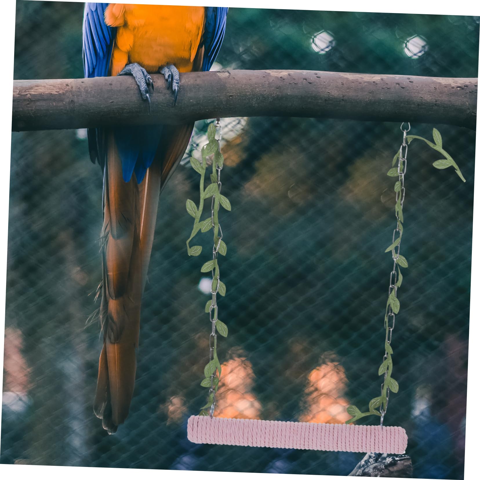 VANZACK 5pièces Balancoire Bois pour Oiseaux Perchoir Suspendu Bois pour Perruches Perroquets Et Cacatoès Jouet Activité Naturel pour Cage à Oiseaux