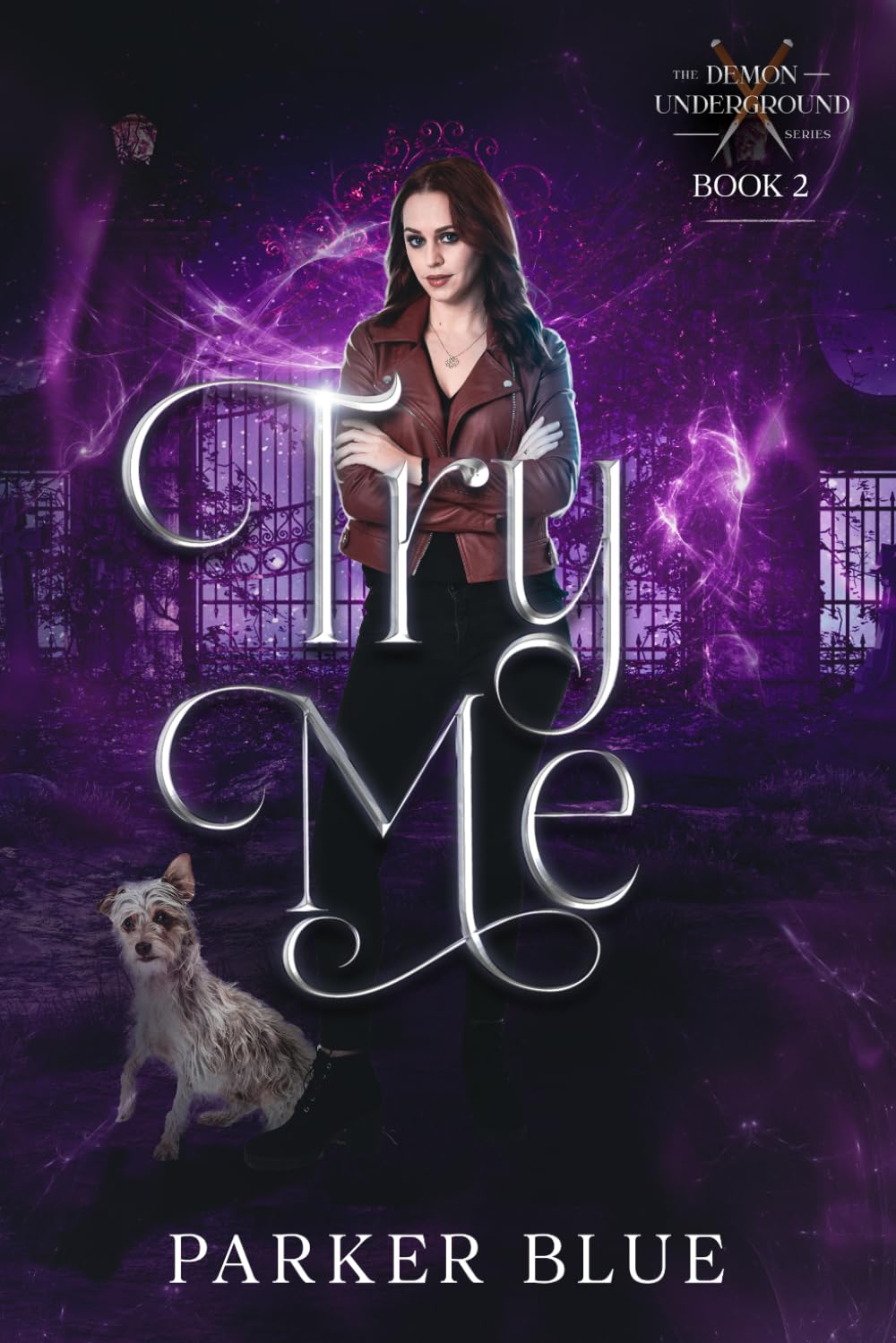 Try Me (The Demon Underground Urban Fantasy Series)