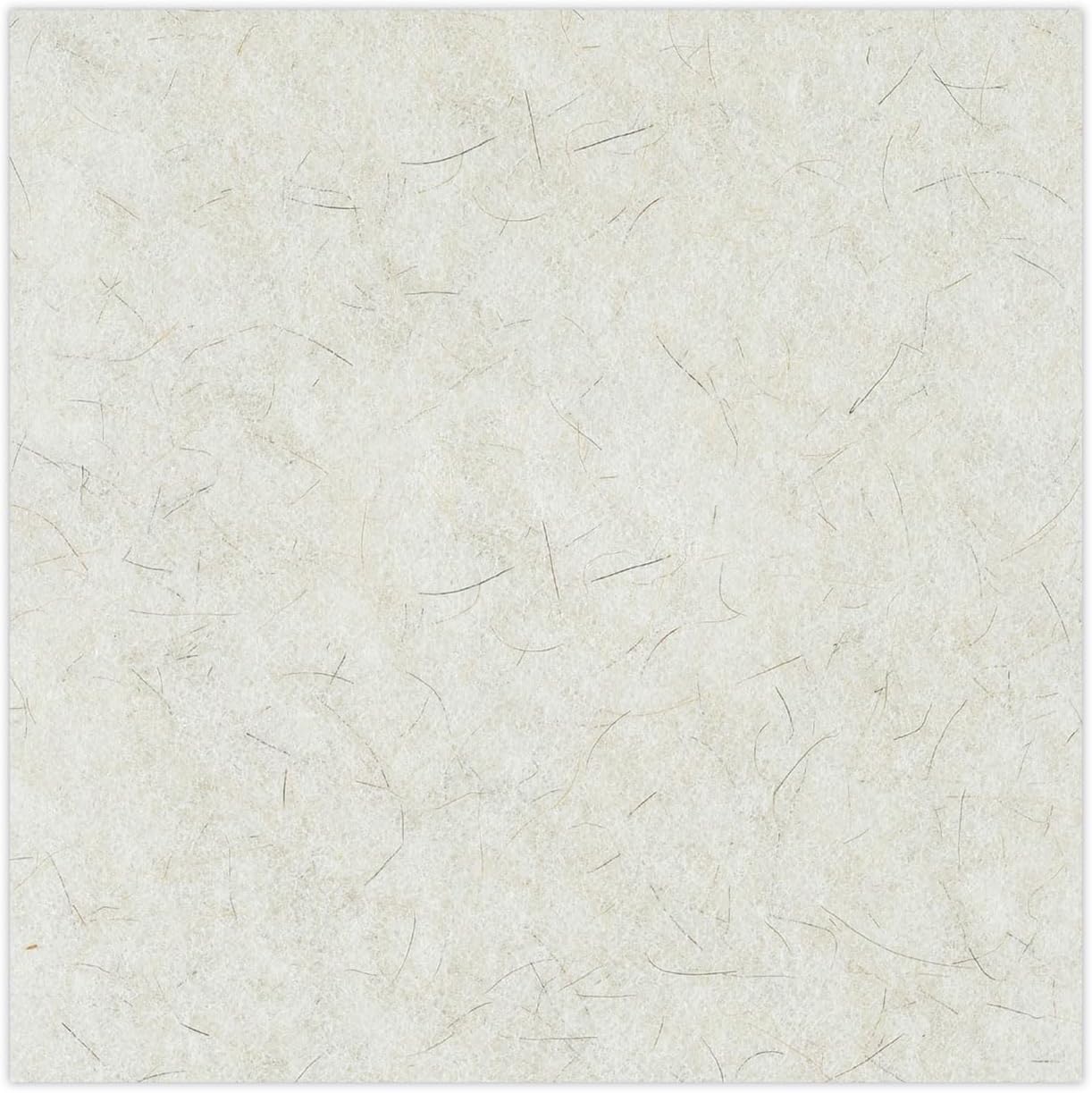 Boardwalk Natural Burnishing Floor Pads, 20" Diameter, White, 5/Carton