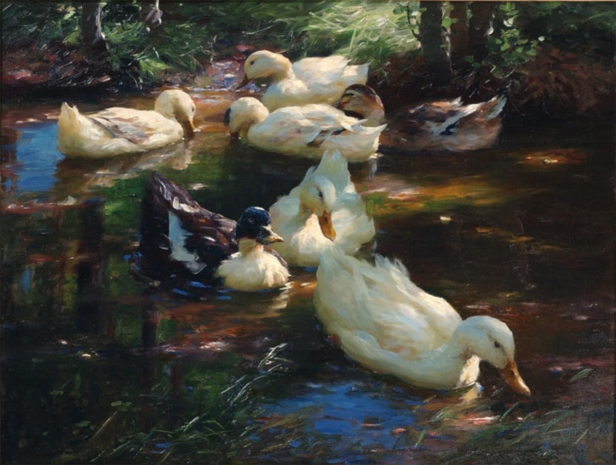 ARTXLXXBN Famous Painting Canvas Artwork Graffiti Print Seven Ducks by Alexander Max Koester Portrait Canvas Image for Home Decor 60x90cm