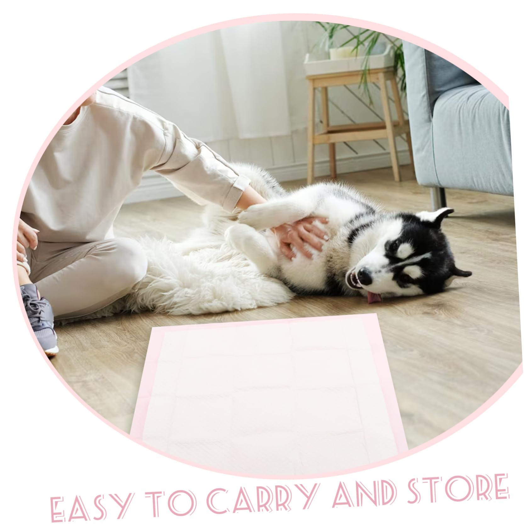 40pièces Tapis Urine Jetable pour Animaux Petits Tapis pour Chiots Urine pour Dressage Coussin Jetable pour Chiens Et
