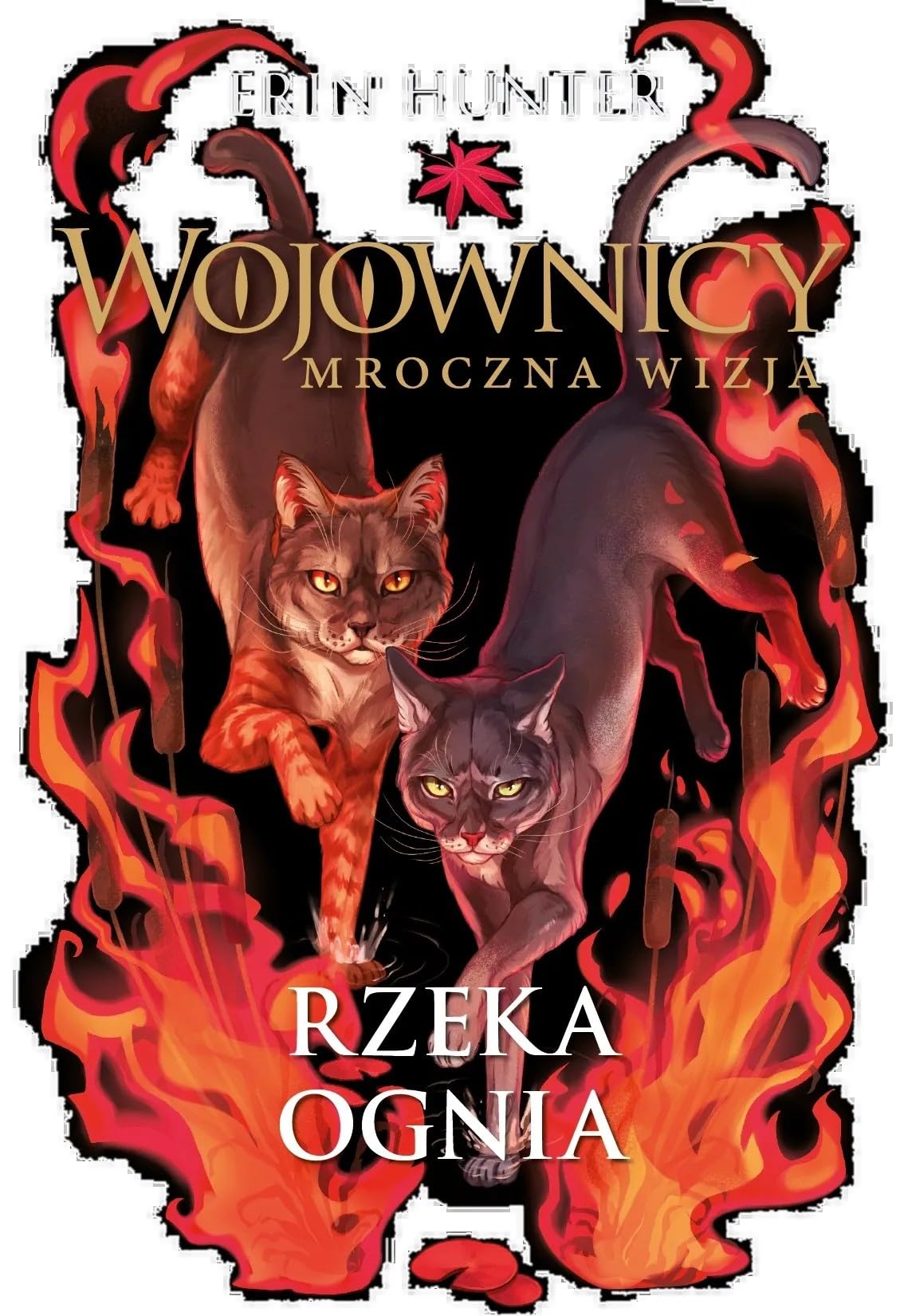 Wojownicy Mroczna wizja. Rzeka ognia