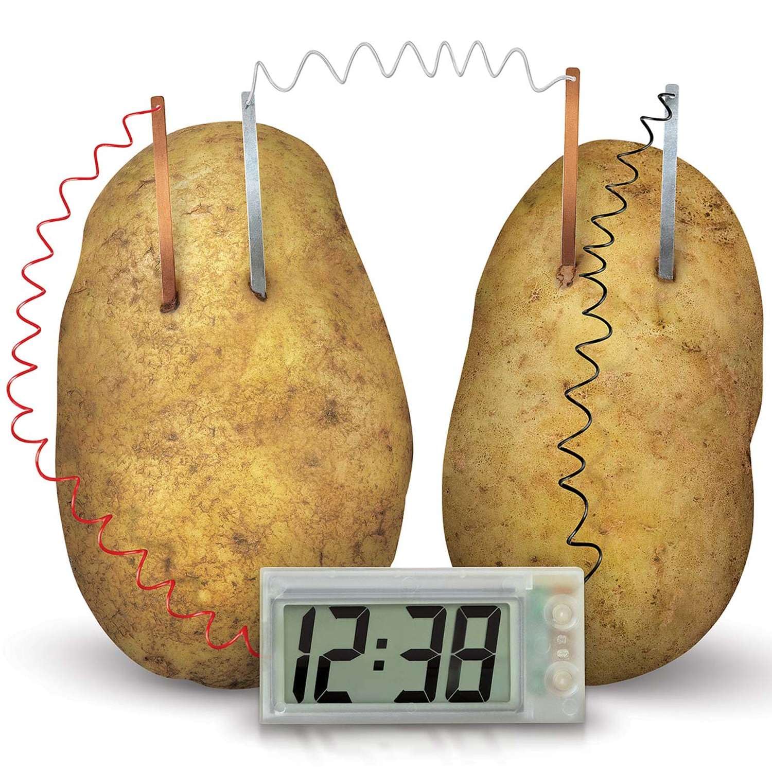 4M Green Science Potato Clock