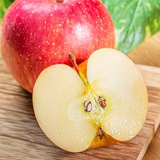 先行予約 りんご 早生ふじりんご 5kg (10~20個程度) 秀品 2026年産 sb-riwfx5