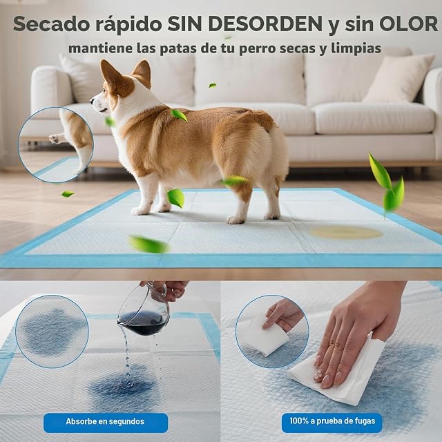 Foto 2 de 7 de Empapadores Perros Extra Grandes 60x90cm