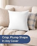 Throw Pillow Inserts 18x18 Inch Set of 2, White 550g Down Alternative Fill, Extra Plump Square Cushion Stuffers for Couch Sofa Bed Decorative Covers, Hypoallergenic Machine Washable, 45x45 cm
