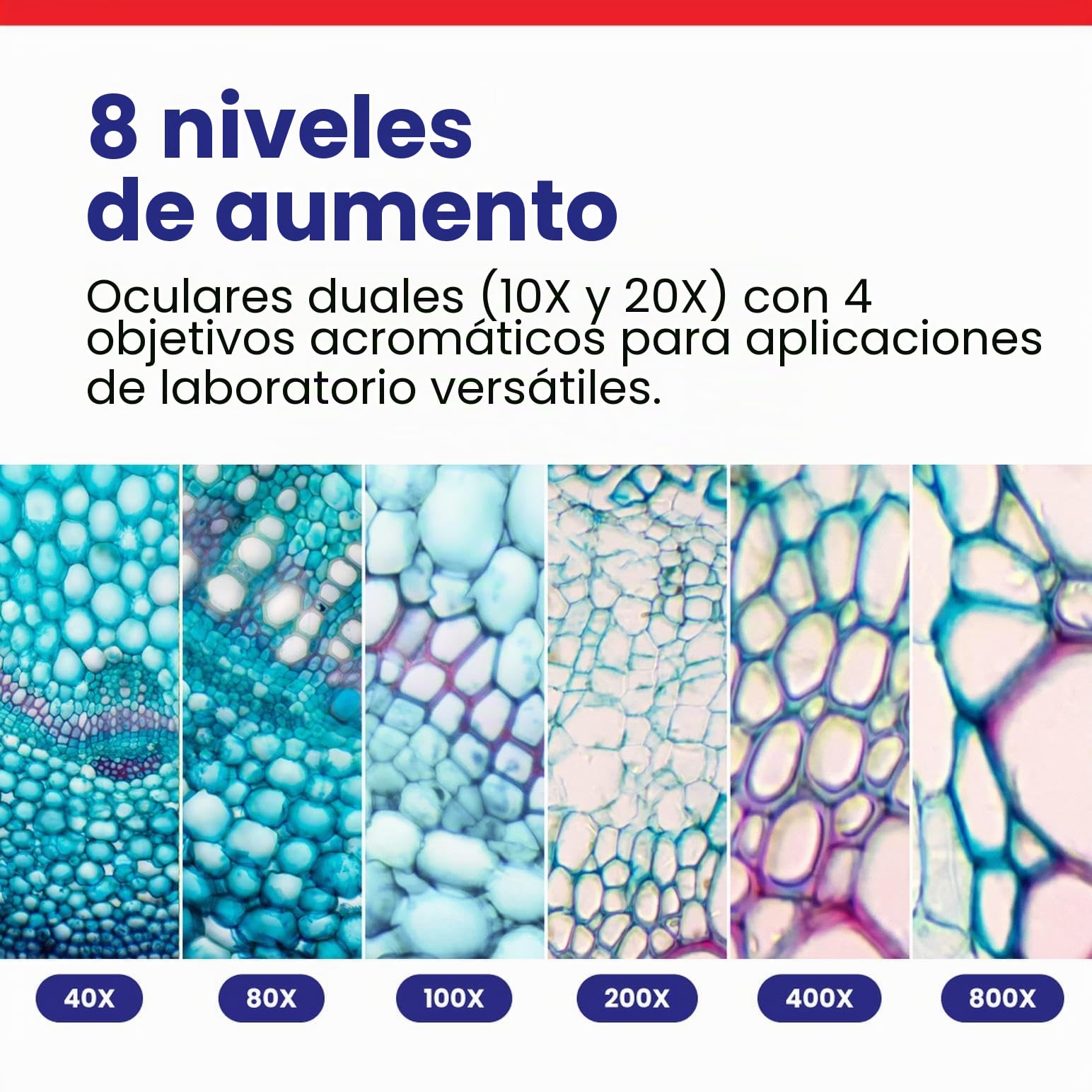 OMAX - 40X-2000X Binocular Microscopio Compuesto LED Lab con Doble Capa Etapa Mecanica + 100 Tapas de Diapositivas en Blanco y Vidrio + 50 Papel Limpiador de Lentes