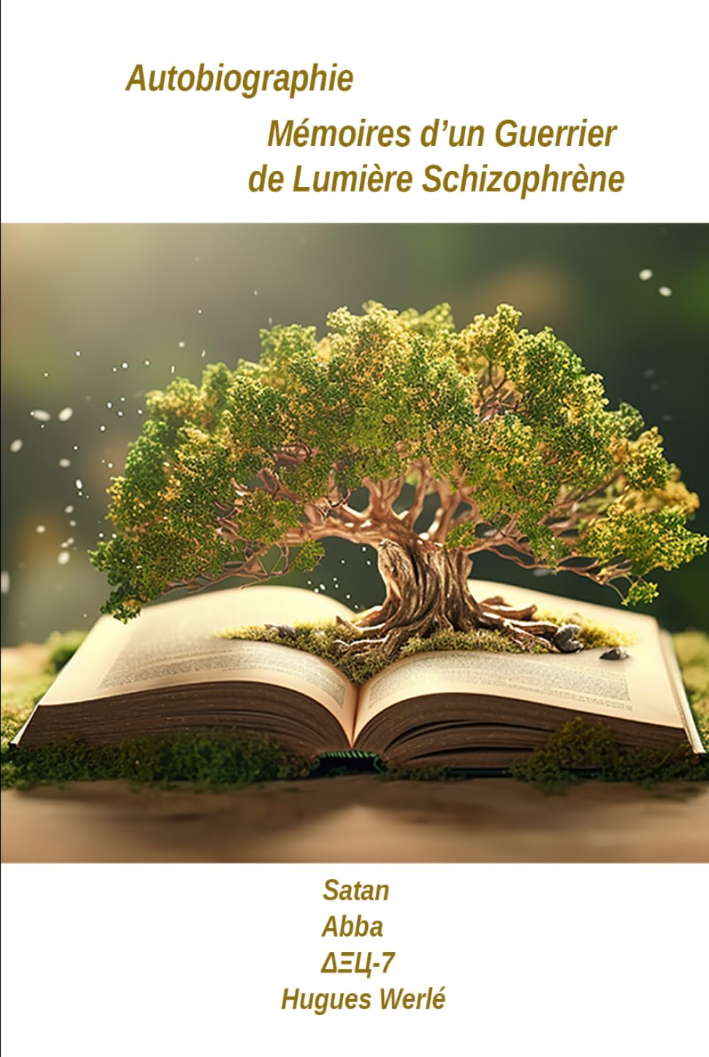Mémoires d'un Guerrier de Lumière Schizophrène