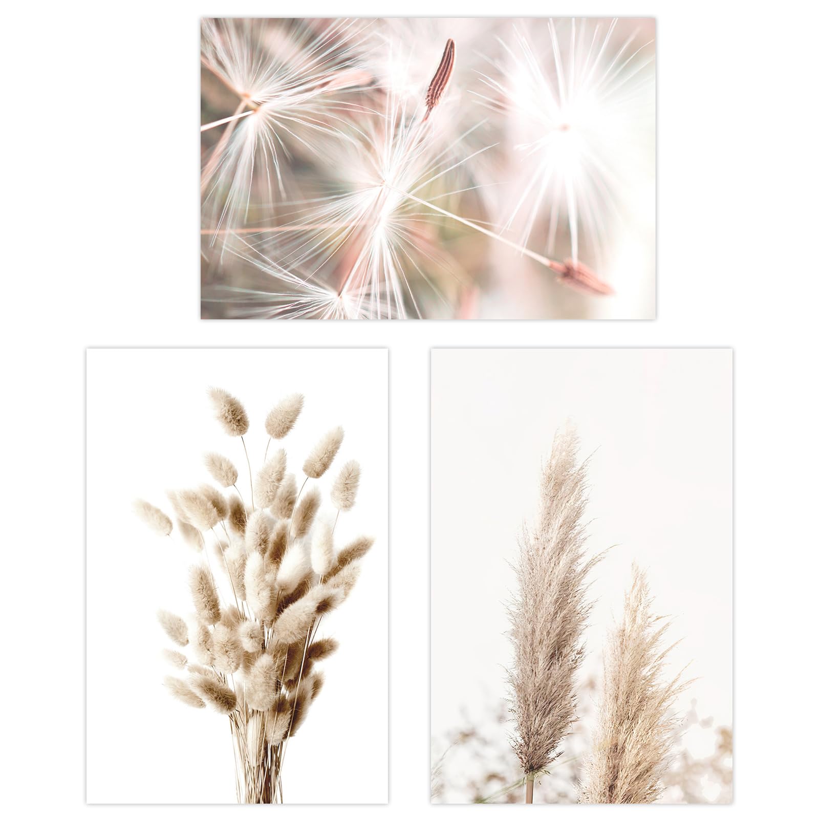 burkfeeg Set De 3 Cuadros Decorativos Boho- Diseño De Hierba De Las Pampas Beige Para Salón, Dormitorio, Pasillo, Póster De Pared, Sin Marco (30 X 40 Cm)