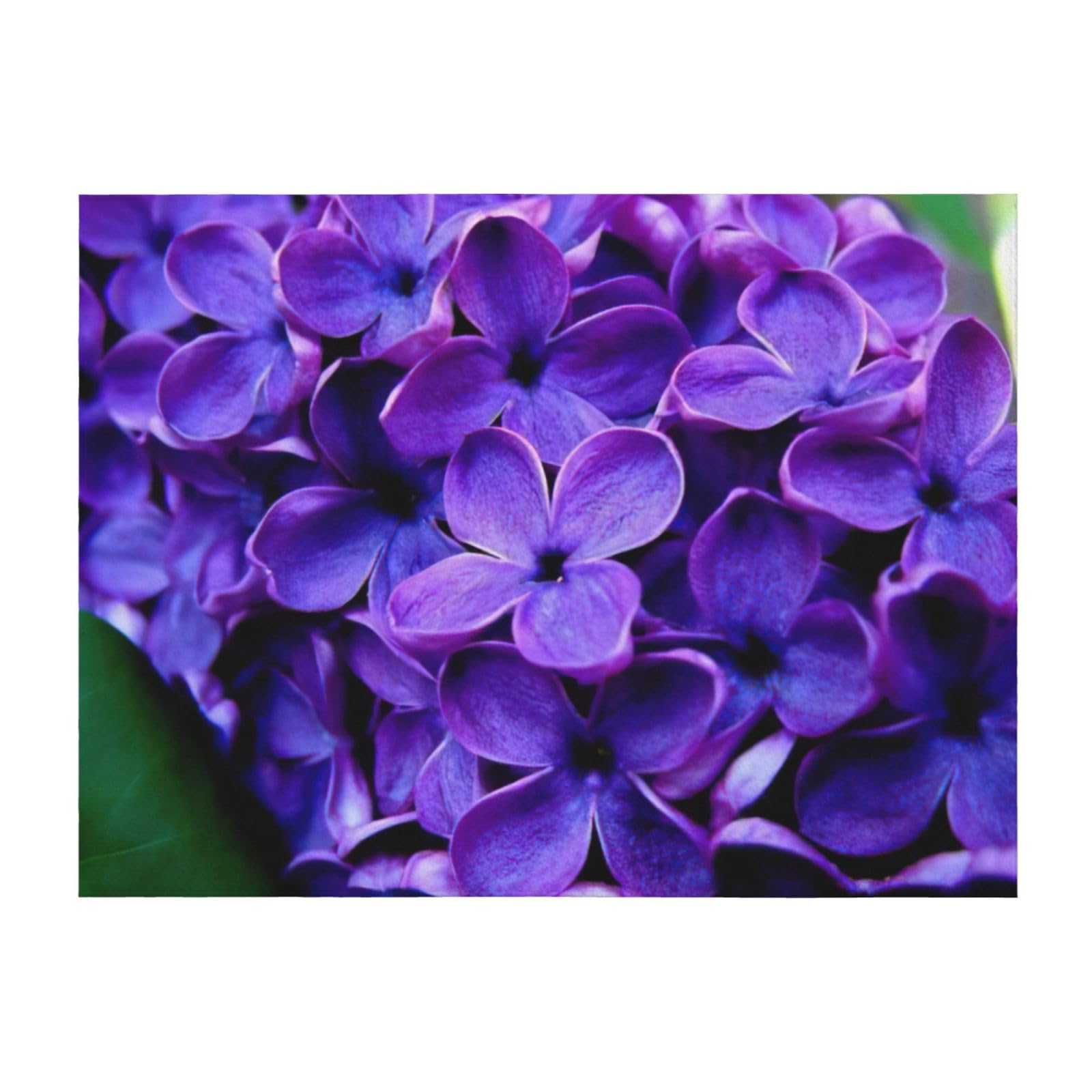 Couverture de lit confortable EdWal microfibre violette plaid floral jeté de lit toutes tailles