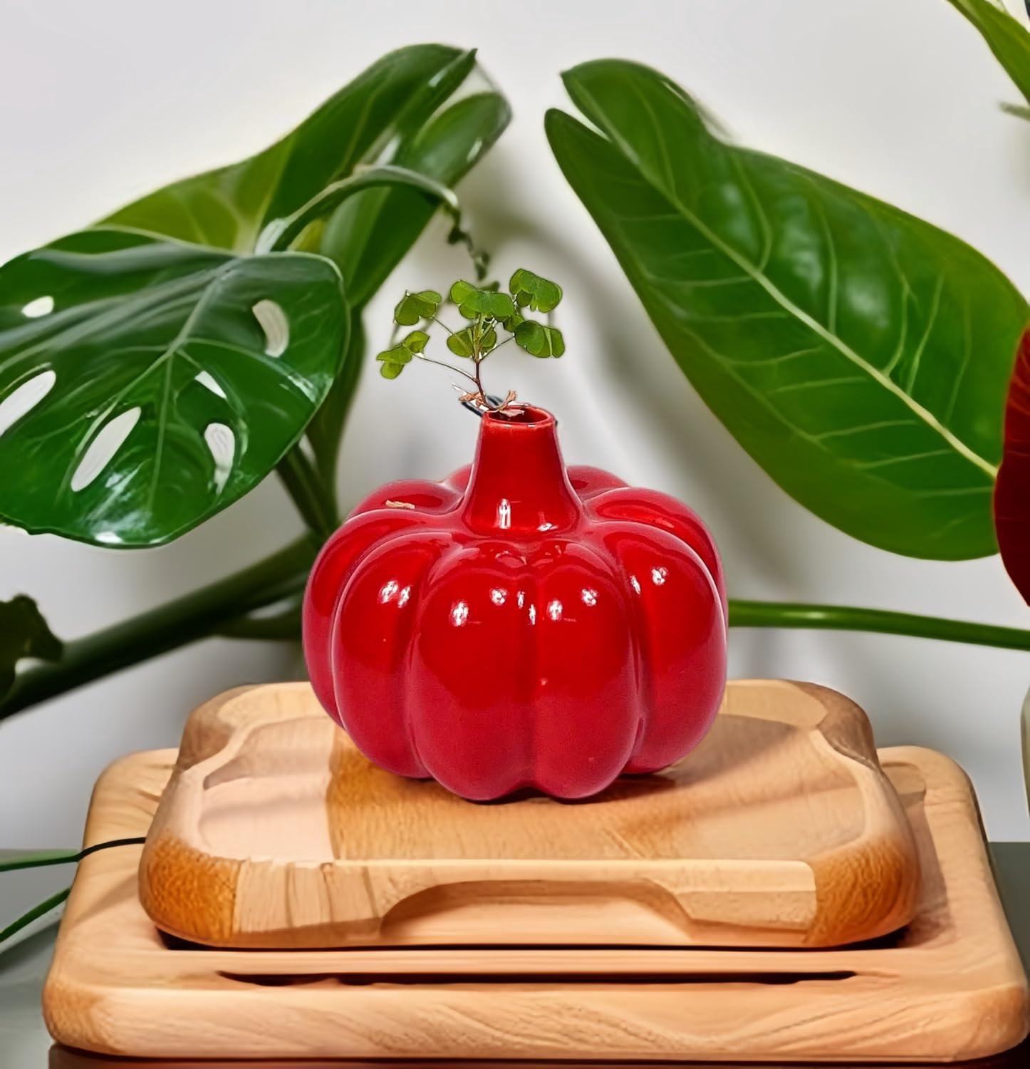 SPHINX Decorative Ceramic Vase, Flower Vase, Vase for Money Plant Live Plants, Centrepiece for Home, Office, Gifts - (Pumpkin Vase Red, 4 Inches, Small)