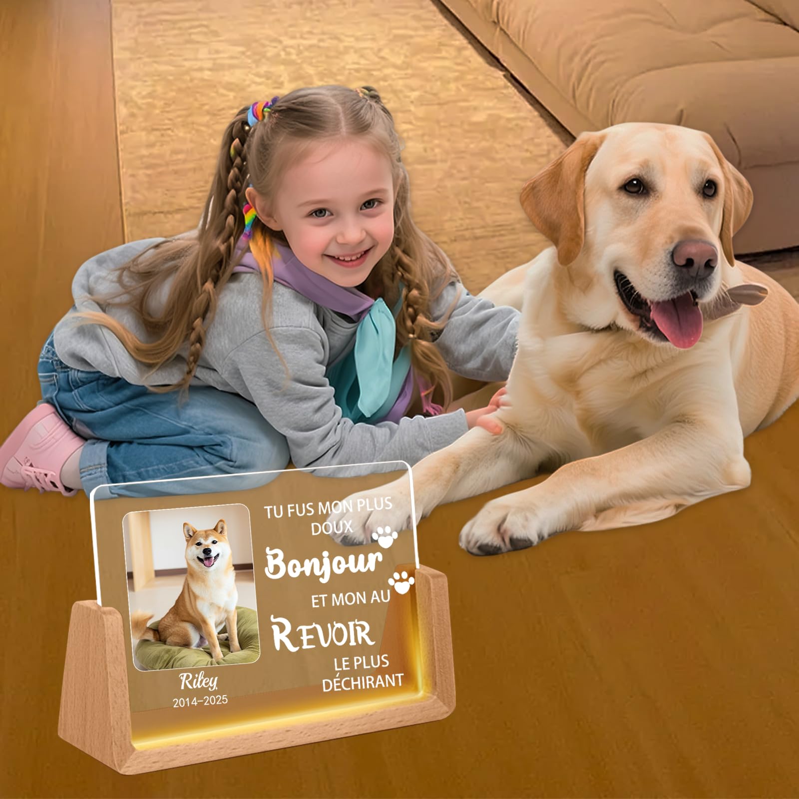 Veilleuse Mémoire pour Chien Personnalisée – Lampe LED avec Photo & Nom d'animal, Cœur & Empreintes de Patte, Cadeau de Deuil pour Amoureux des Chiens, Souvenir avec Date (Style D)