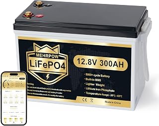12V 300Ah LiFePO4 Lithium Batterie mit Bluetooth, 200A BMS, bis zu 15000 Zyklen, max. 3840Wh, Low Temp Cut Off, Deep Cycle, Mini Design, für Wohnmobil, Solar, Trolling Motor