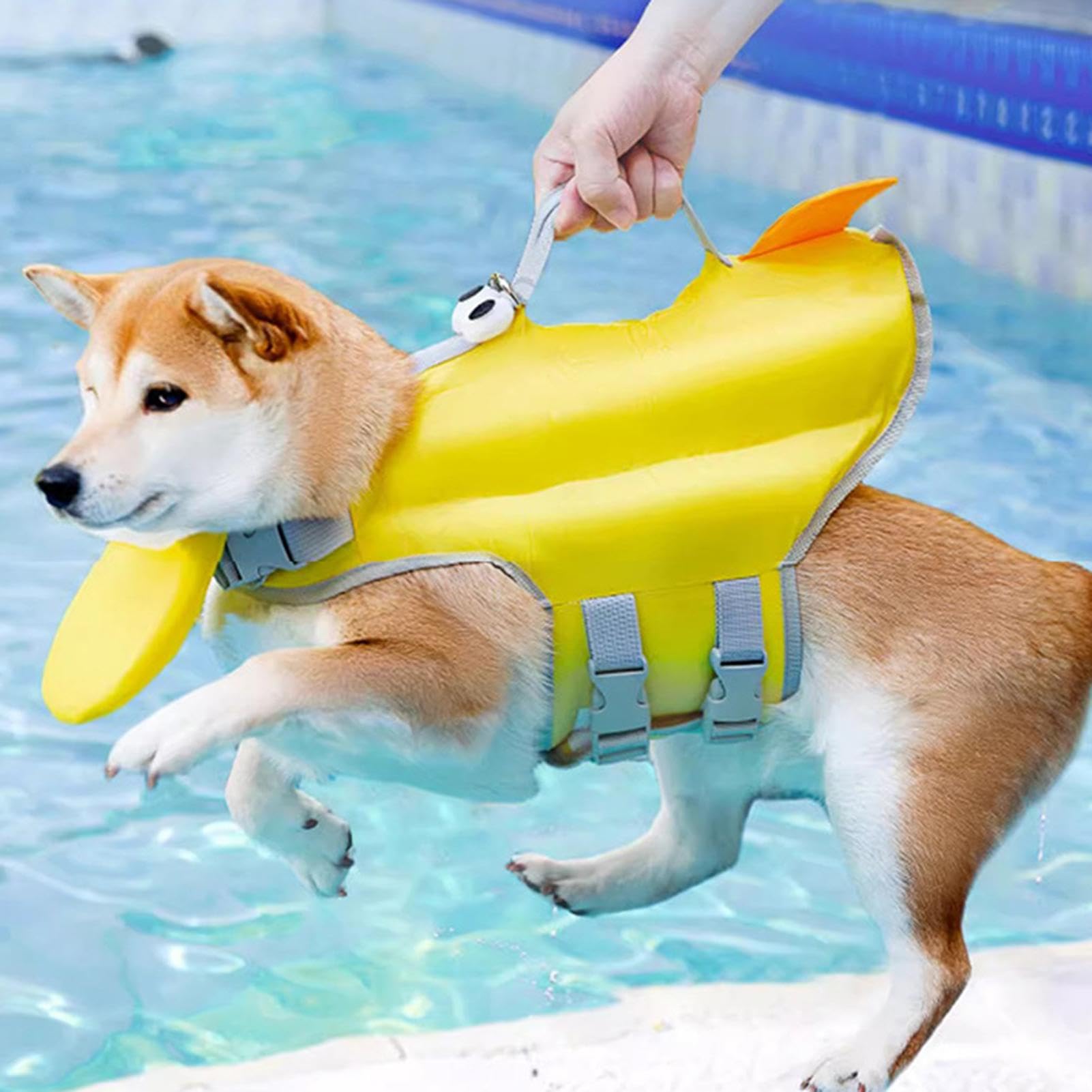 Dog Swimsuit Lifesaver - Dog Life Vest for Swimming | Adjustable Dog Swimsuit Flotation Lifesaver |Portable Quick-Drying Pet Swimsuits |Big Eyes Design Flotation Suit for Small Medium Large Dogs