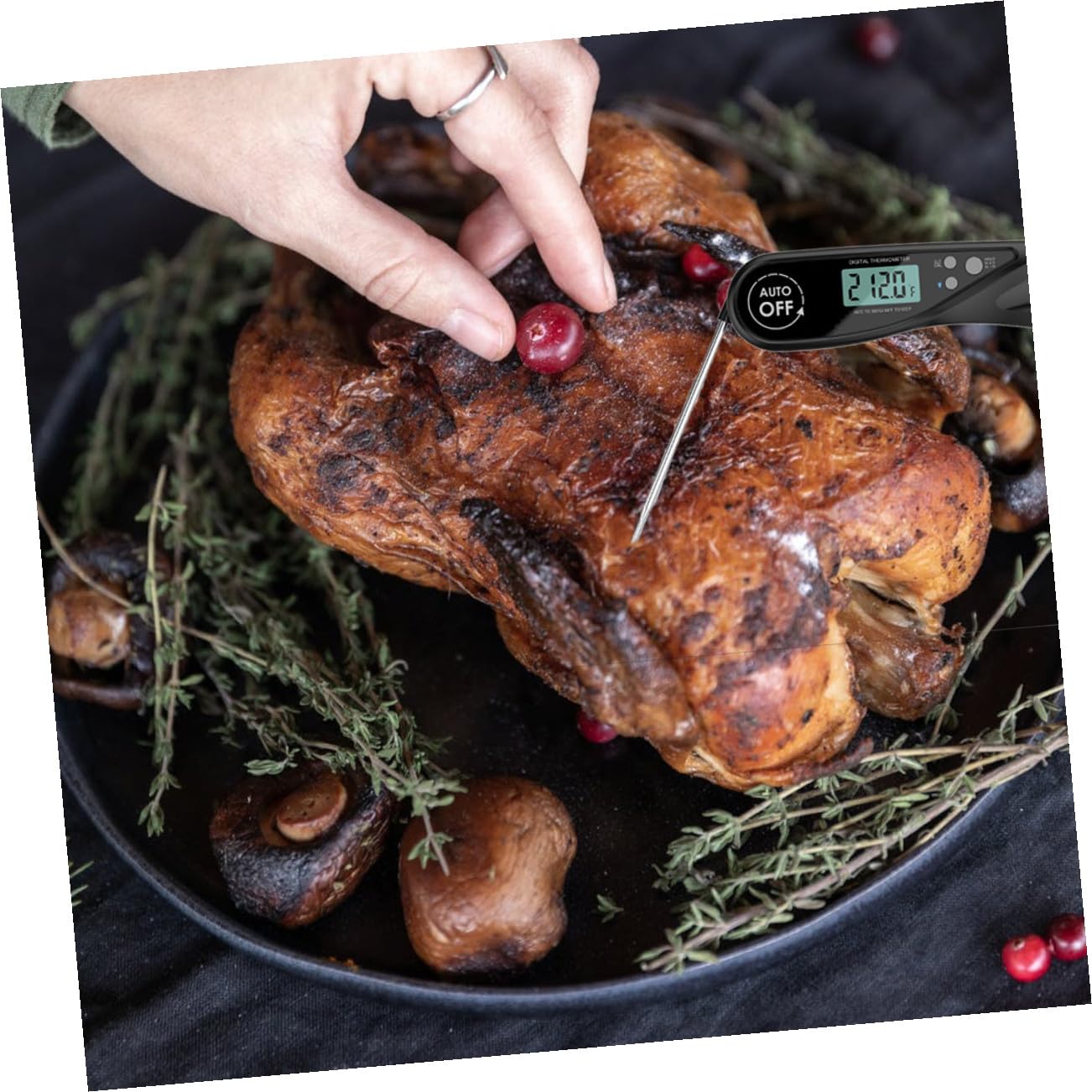 2 Piezas termómetro de barbacoa termómetro digital termómetro de horno sonda de lectura instantánea termometro para carnes termómetro de lectura instantánea impermeable abdominales