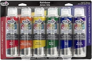 Tulip COLORSHOT Permanent Fabric Spray Paint for Vibrant Rainbow Accents