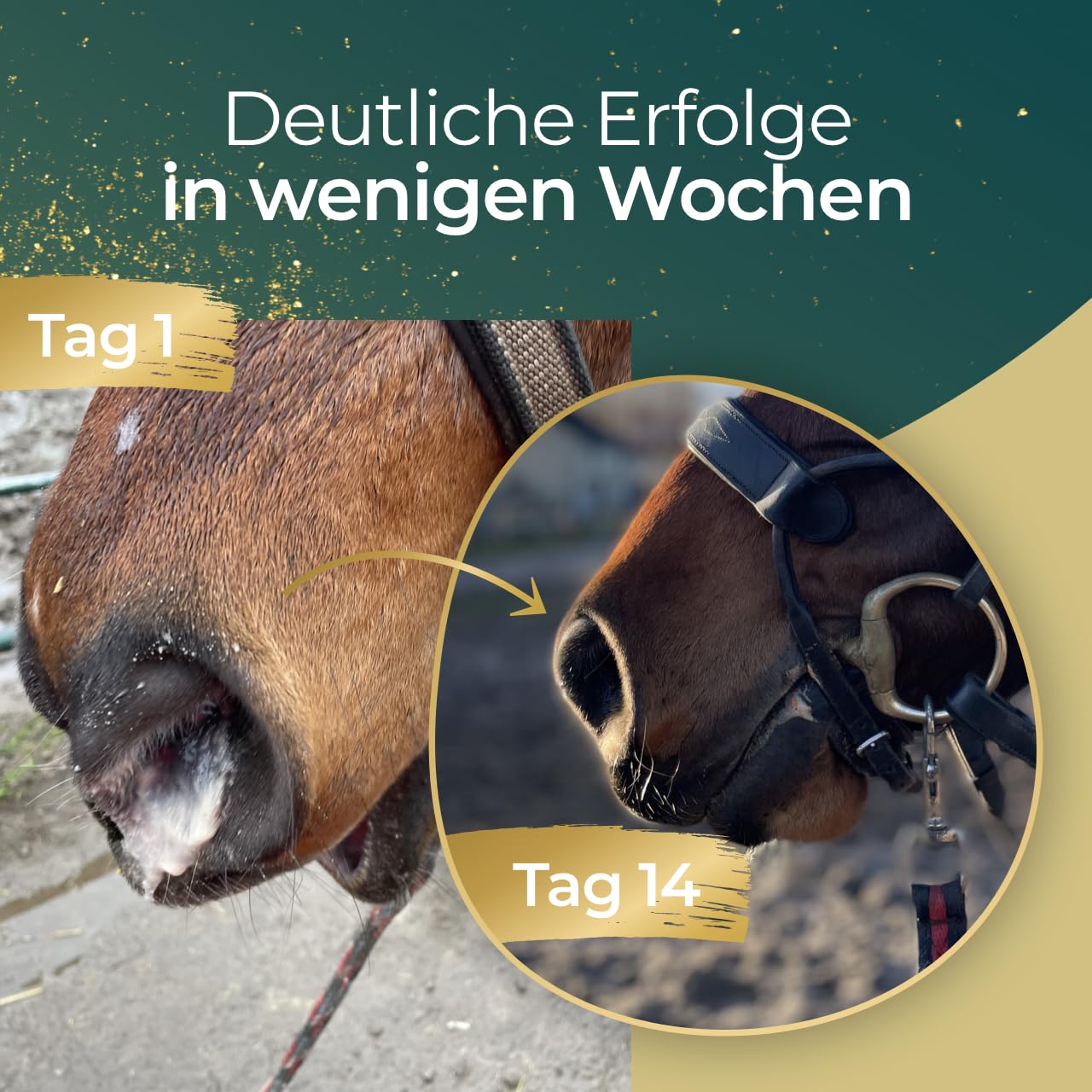 Atemglück 1,5kg | Pferde Pellets mit optimaler Kräuter-Versorgung - Für alle Pferderassen - 100% Natürlich - Made in Germany