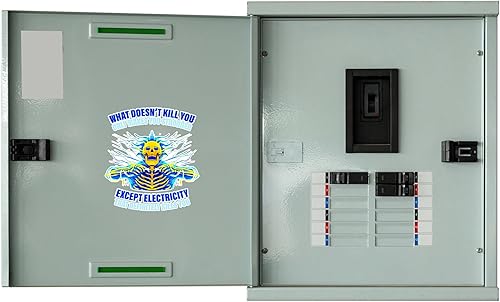 Miniatura 2 de WSQ Paquete de 2 calcomanías de vinilo con texto en inglés «What Doesn't Kill You Only Makes You Stronger Except Electricity», 4 pulgadas,