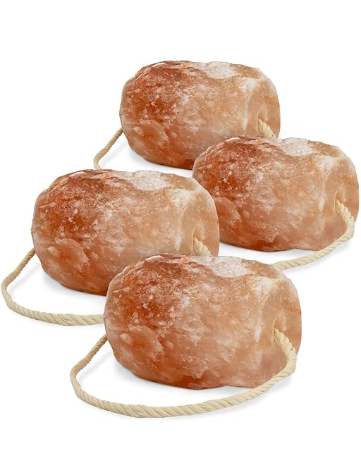 Piedra de sal 4 piedras para fugas con cordel, total aprox. 8 kg, para caballos, ovejas, vacas, salvajes