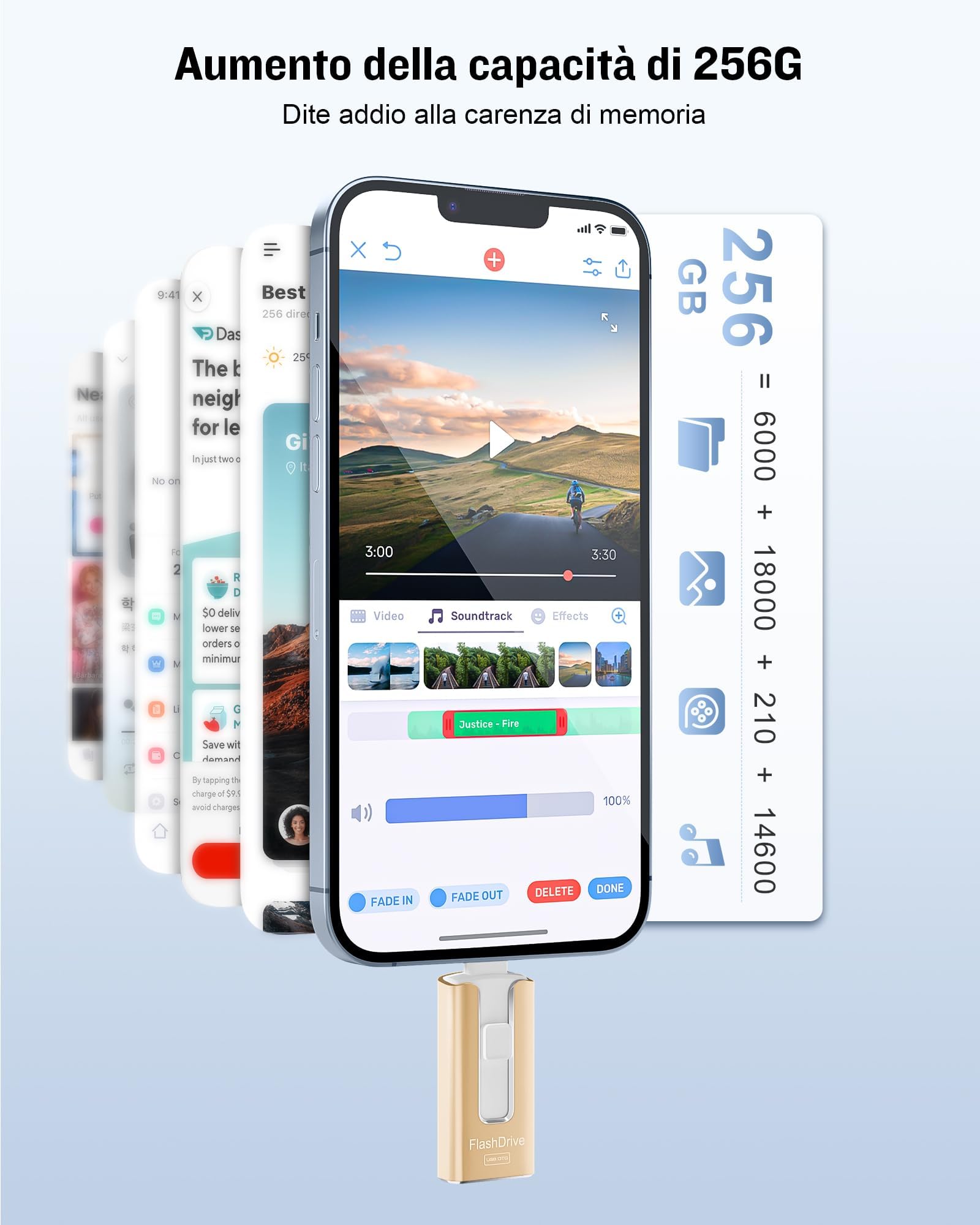 GNASEET 256GB Memoria Externa para Phone y Android,USB 3.0 Alta Velocidad, Pendrive para Phone 4 en 1 con USB-C/Micro USB/USB-A, Disco Duro Externo para Phone para Fotos, Vídeos y Datos, Dorado