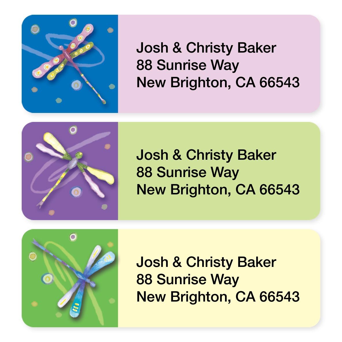 Dragonflies Assorted Set of 215 Sheeted Address Labels