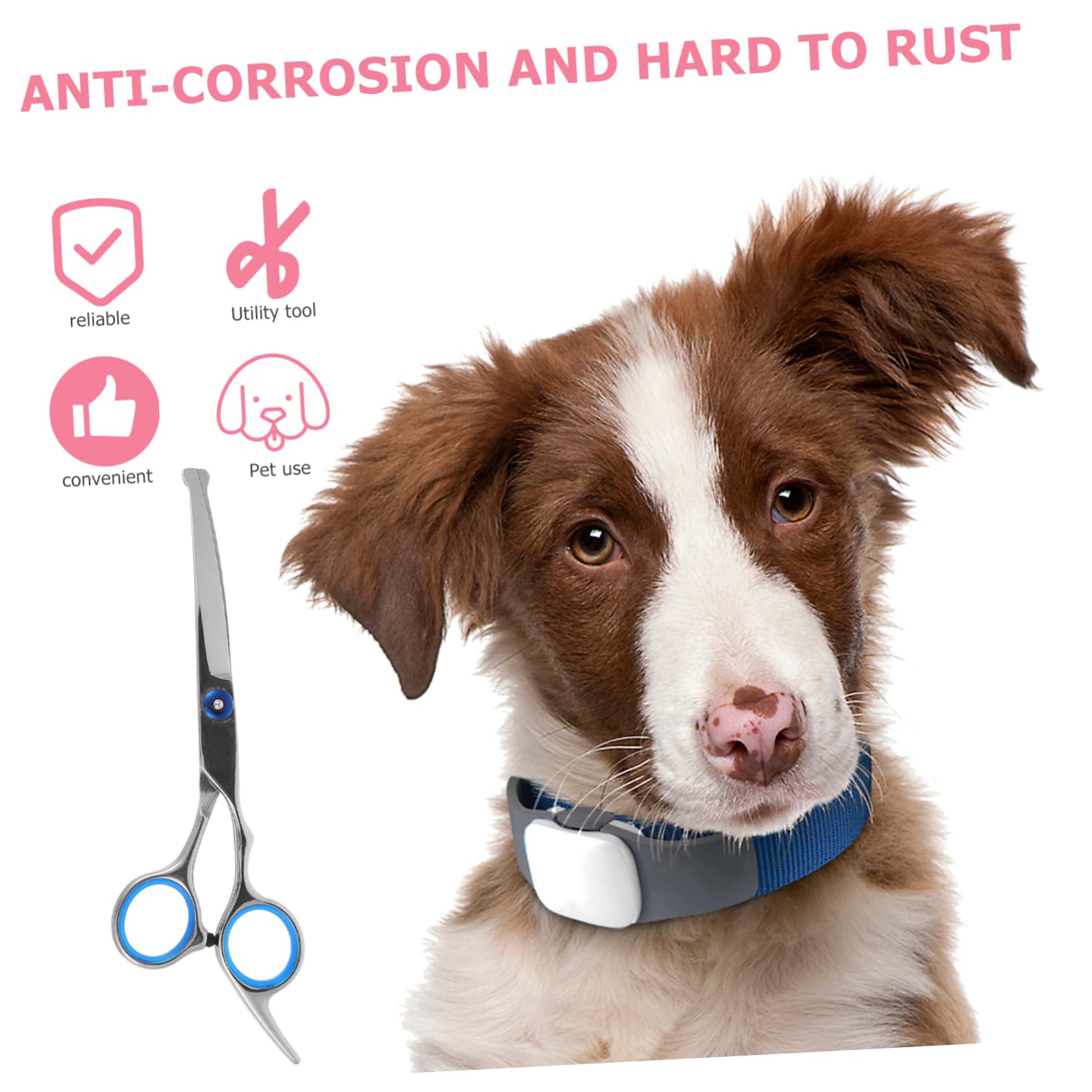 Sosoport 2pezzi Forbici Per Toelettatura Animali Con Testa Rotonda Forbici Professionali Per Del Pelo Di Cani e Gatti Ergonomiche Inossidabile Per Uso Domestico e Negozio Di Animali Argento