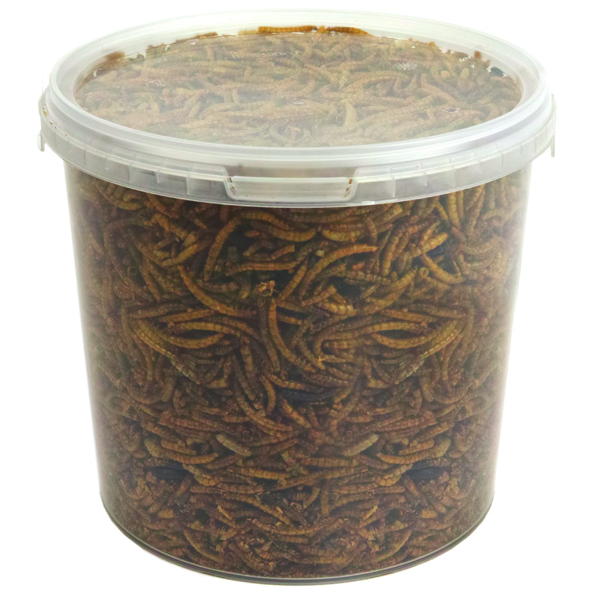 GardenersDream getrocknete Mehlwürmer - Narhafte wildes Garten Vogelfutter (10L)