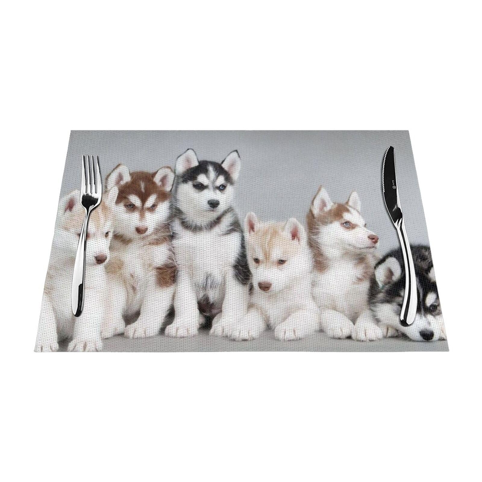 PVC Placemat Set of 6 PCS, 45x30 CM, Husky Puppies Dogs Printed Non-Slip Heat Resistant Place Mats for Kitchen Dining Table Indoor Outdoor