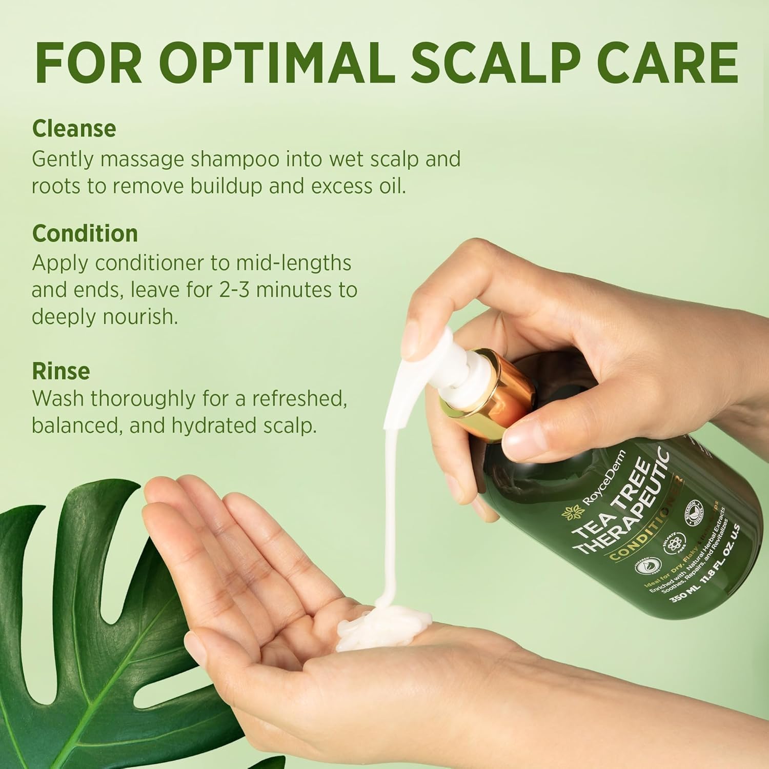 Roycederm Tea Tree Antifungal Shampoo and Conditioner: Complete Scalp Care Solution for Folliculitis Dry, Itchy - Image 4