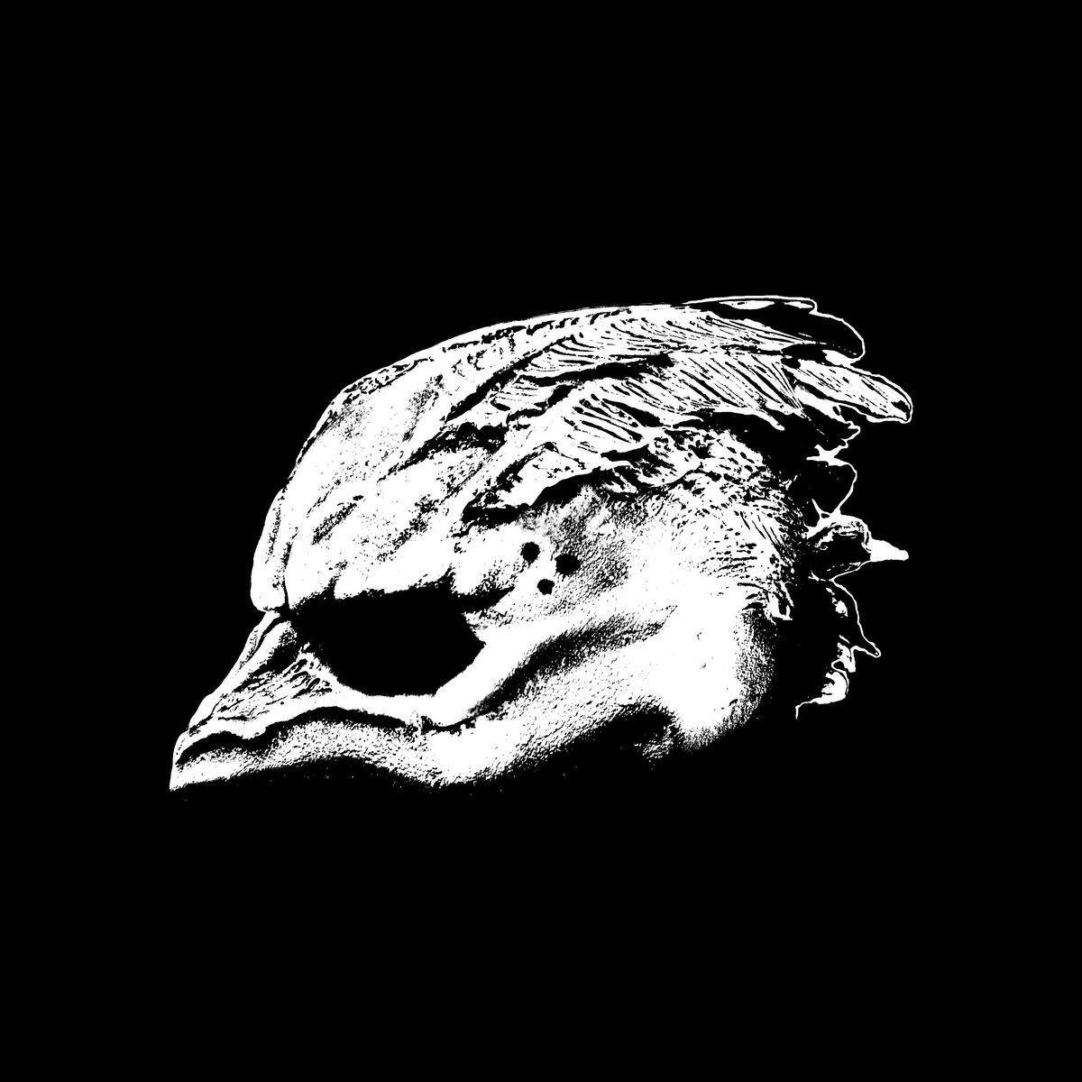 Legend Of The Seagullmen:  Legend of the Seagullmen - CD - UNPLAYED