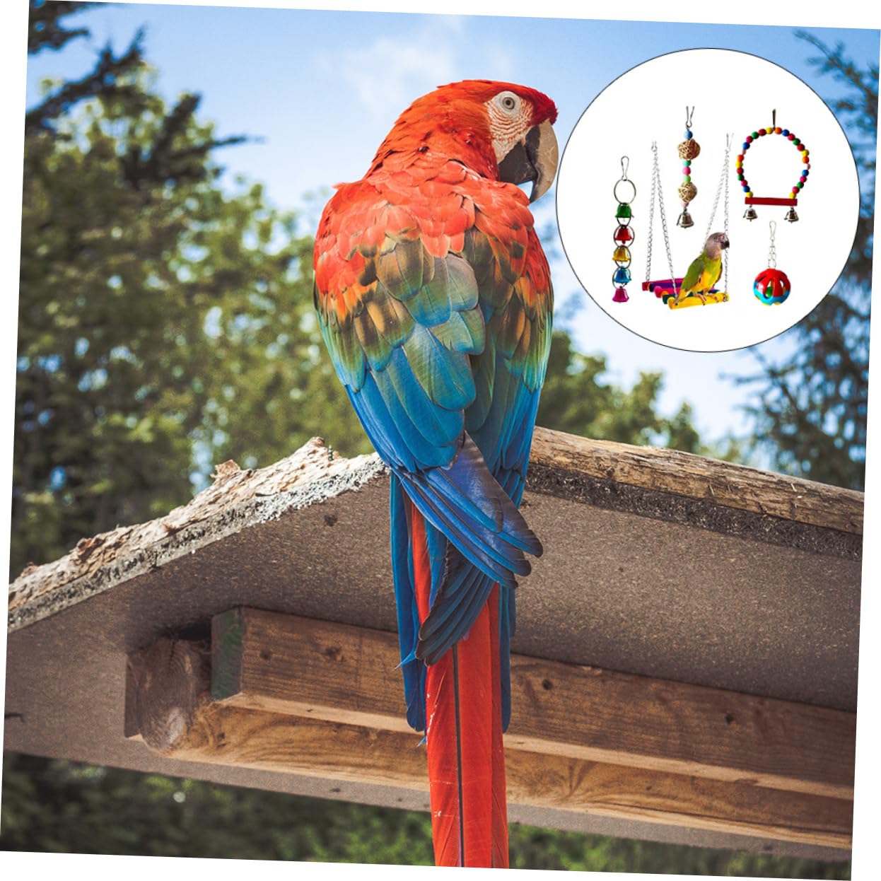 5piezas Juguetes para Masticar De Pájaros Set De Juguetes para Periquitos y Cacatúas Estimula El Desarrollo Inteligencia Aves Material Natural y Resistente