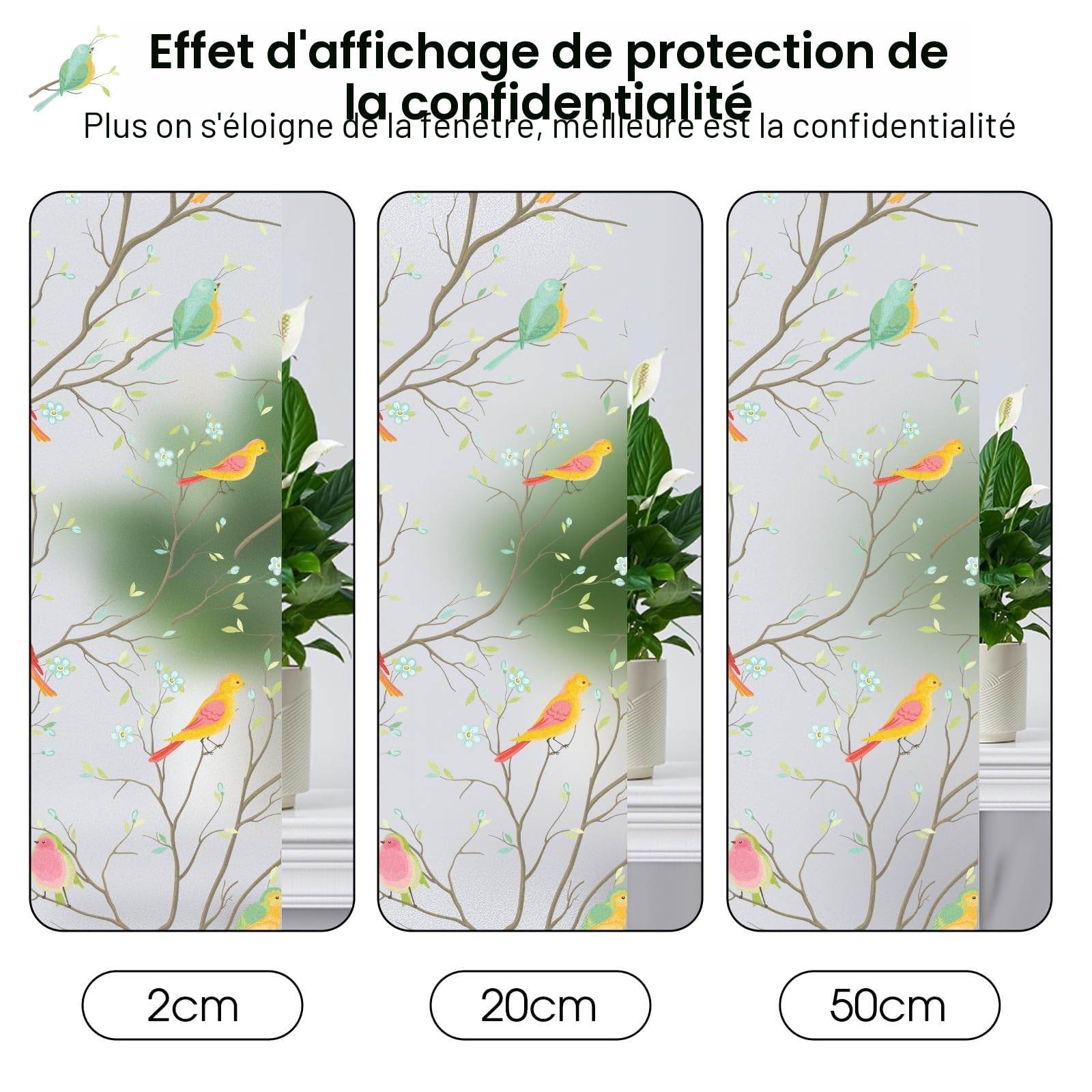 Lifetree Film pour Fenêtre sans AdhéSif - Anti Regard, Vitrail Autocollant Décoratif Opaque, Anti-UV, pour Fenêtres et Portes 115 x 200 cm