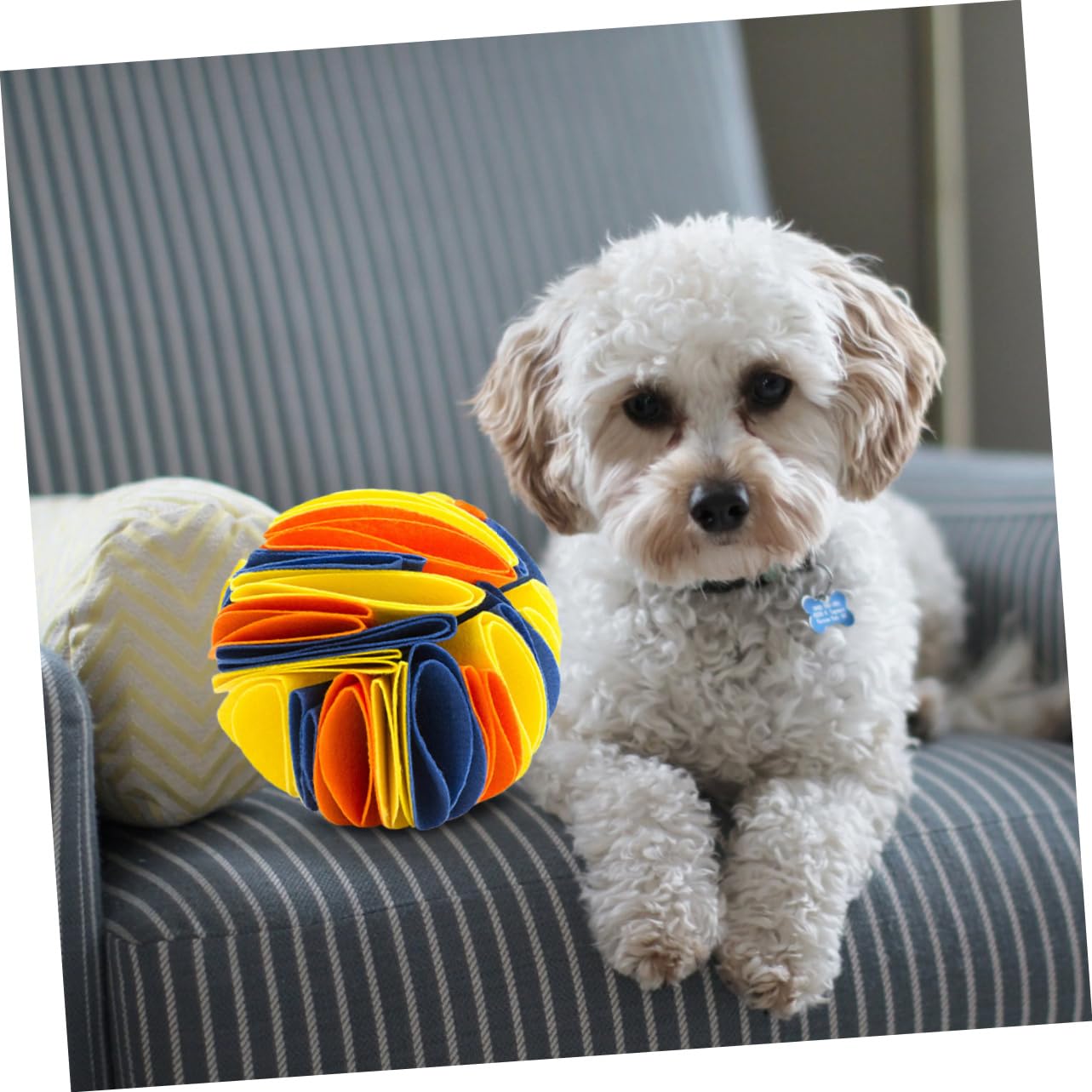 BESPORTBLE 3stücke Hunde-schnüffelspielzeug Langlebigem Naturkautschuk Interaktiver Futterball Für Langsames Fressen Fördert Gesunde Verdauung Und Destruktives Verhalten Vielseitig