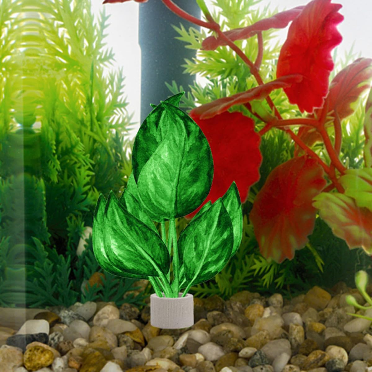 12stücke Teiliges Aquarium Pflanzenbefestigungs Ring aus Robustem Keramikmaterial Anti schwebend Langlebig und Praktisch für Kleine Aquarienlandschaften und