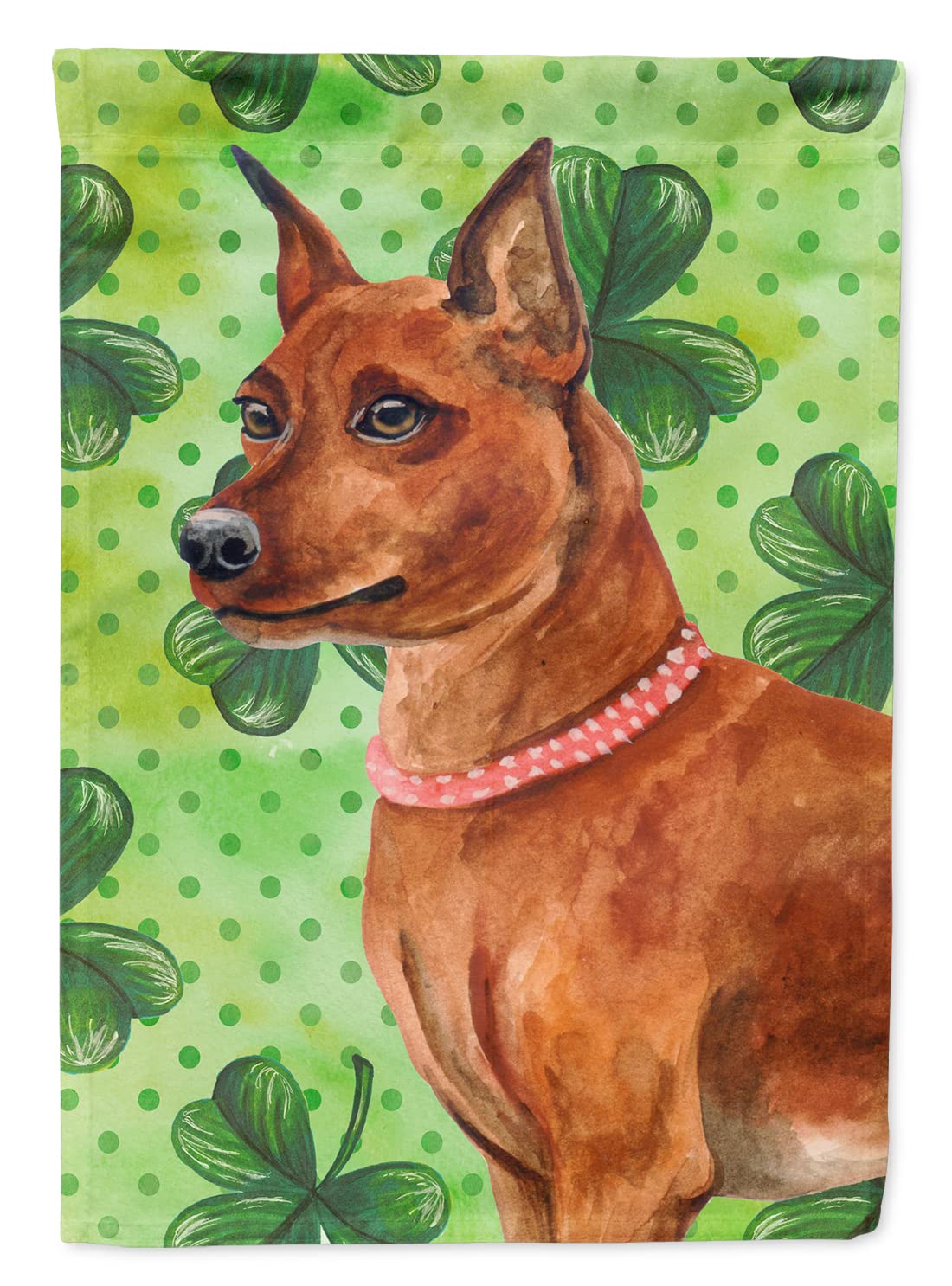 Drapeau Pinscher Nain St Patrick grand format multicolore Caroline's Treasures BB9830CHF pour jardin