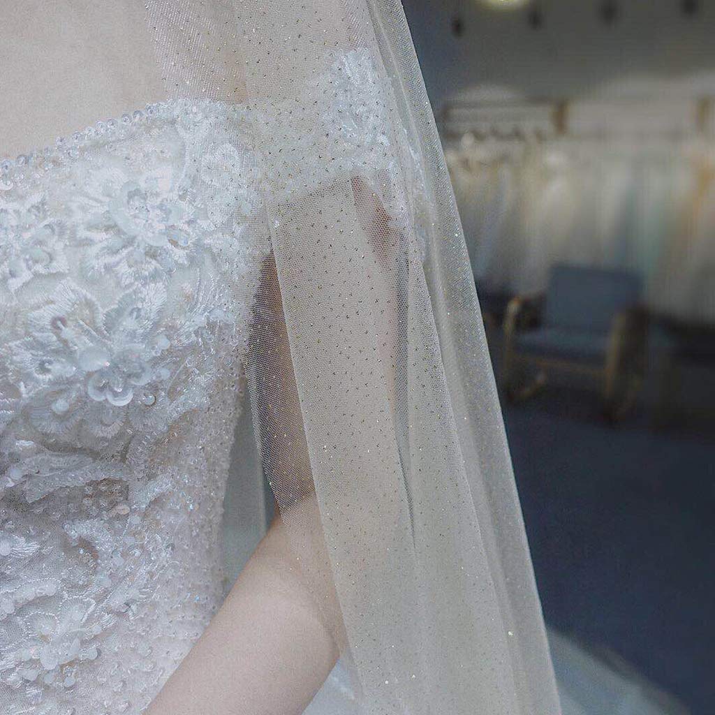 Velocipede da Sposa Mesh Cattedrale Ultra-Lungo con Stampa a Caldo, Romantico di Lusso Shimmer Cielo Stellato Paillette Accessori