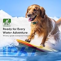 Vista 4 de Collar de choque para perro con 10 niveles de pitido, 2680 pies, 4 modos, collar eléctrico de entrenamiento para perros con control remoto, Verde
